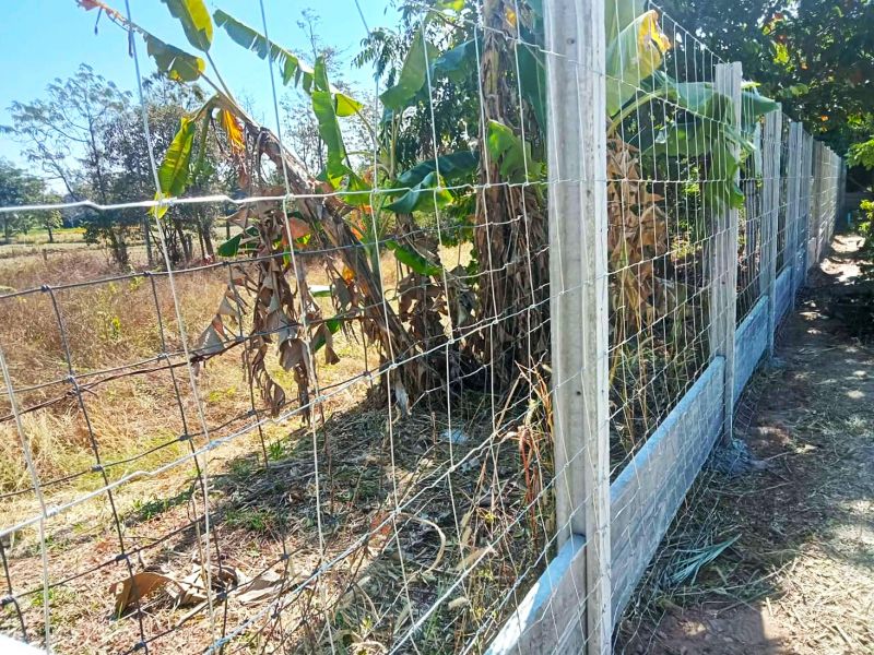 ผลงานติดตั้ง รั้วตาข่ายแรงดึง (ทึบล่าง) ต.ห้วยยาง อ.บัวใหญ่ จ.นครราชสีมา - 8 ม.ค. 69
